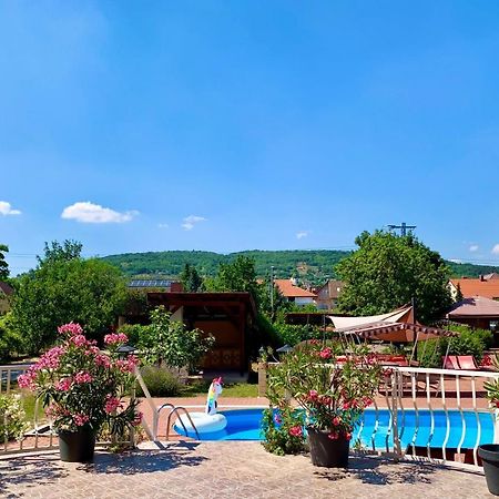 Andrea Pansio Bed & Breakfast Balatonfured Exterior photo